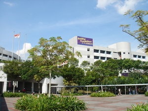 新加坡南洋理工学院2008年招生简章